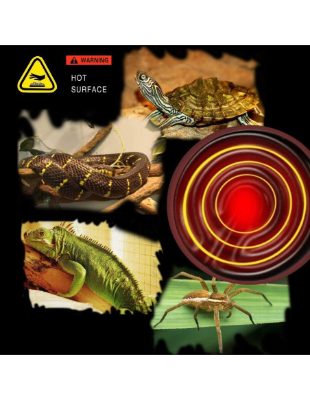 Lámpara de Calor Cerámica 75W OMAYKEY para Reptiles y Anfibios