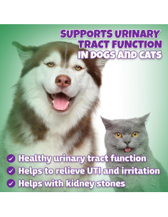 Tratamiento Natural UTI para Perros y Gatos Lively Tails 59 ml 2