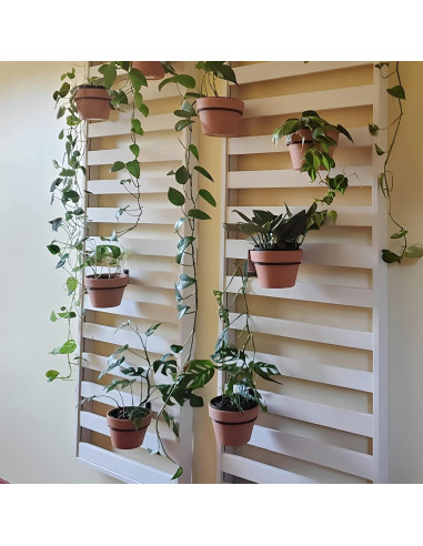 Soporte para Plantas Colgante Maosen 4" Redondo 6 Piezas