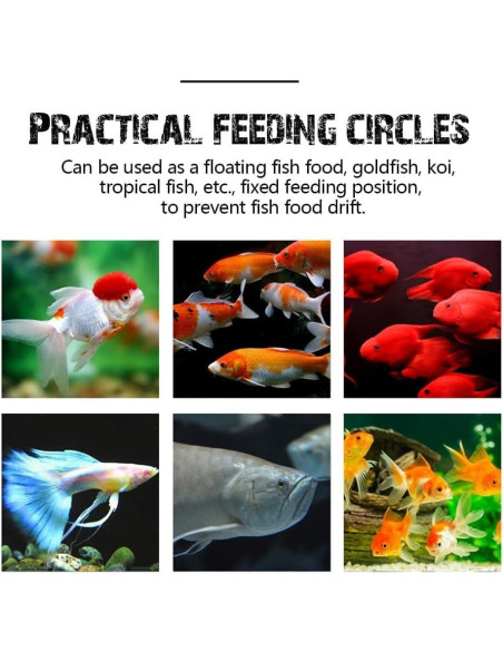 Anillo de Alimentación Flotante Dbeans para Peces - 1 Círculo