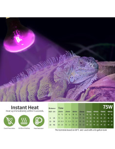 Lámpara de Calor Infrarroja OMAYKEY 75W para Reptiles 2