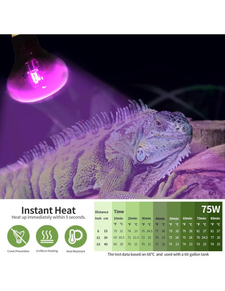 Lámpara de Calor Infrarroja OMAYKEY 75W para Reptiles