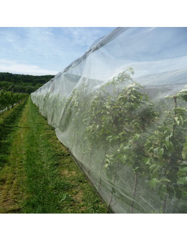 Malla de Jardín Ultra Fina FARAER 2.44m x 7.32m Protección