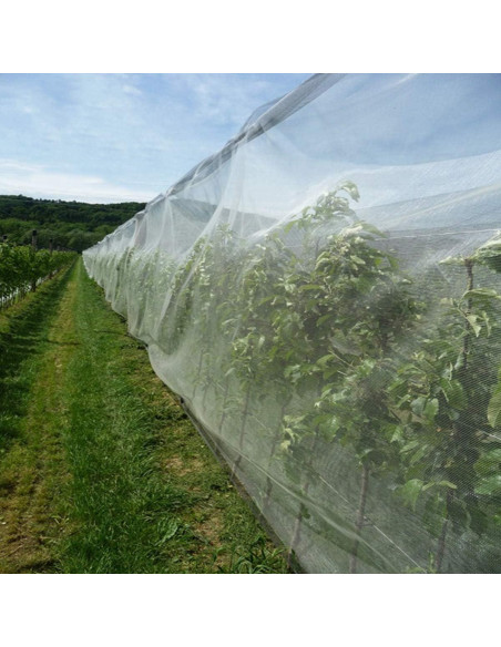 Malla de Jardín Ultra Fina FARAER 2.44m x 7.32m Protección