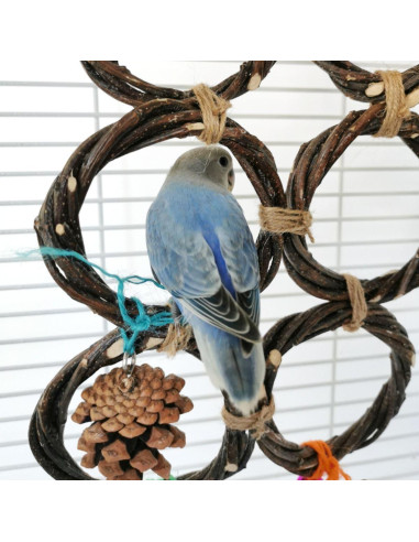 Soporte de columpio para aves CXYYXF 3 anillos 10 cm