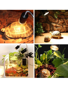 Lámpara Solar de Espectro Completo OMAYKEY 75W para Reptiles 2