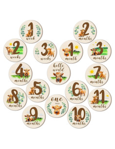 Tarjetas de Hitos Mensuales de Madera Tiamon - 16 Discos para Bebés