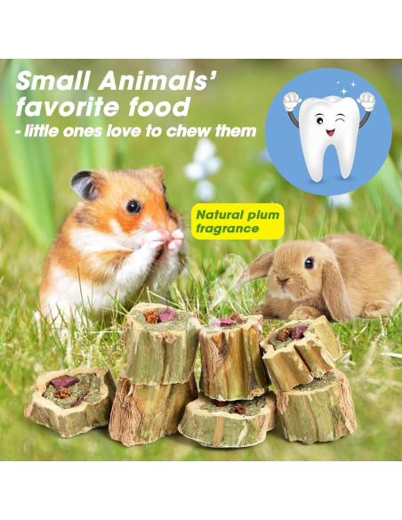 Juguetes de Masticar para Conejos Abizoo 100g con Heno y Verduras