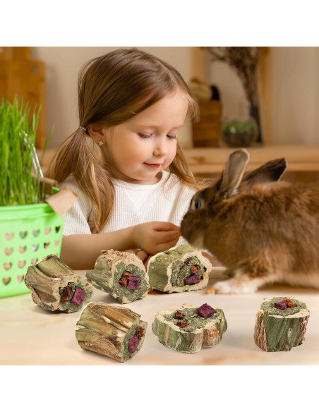 Juguetes de Masticar para Conejos Abizoo 100g con Heno y Verduras
