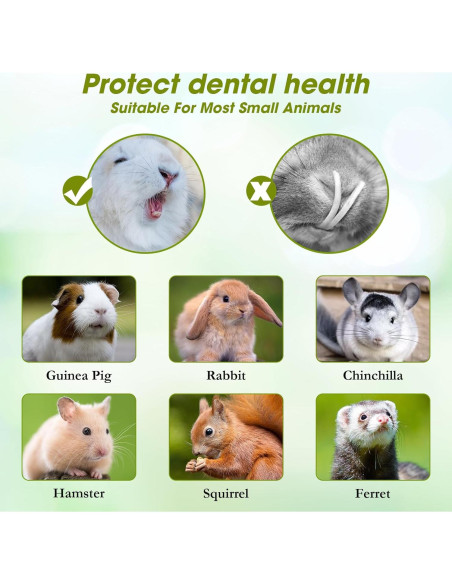 Juguetes de Masticar para Conejos Abizoo 100g con Heno y Verduras