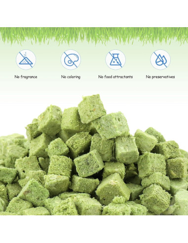 Golosinas de Hierba para Gatos HavenJanny 60g - Salud Oral