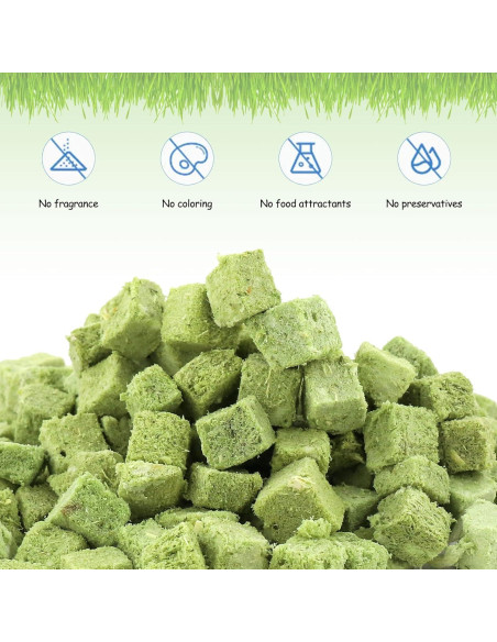 Golosinas de Hierba para Gatos HavenJanny 60g - Salud Oral