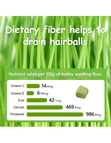 Golosinas de Hierba para Gatos HavenJanny 60g - Salud Oral
