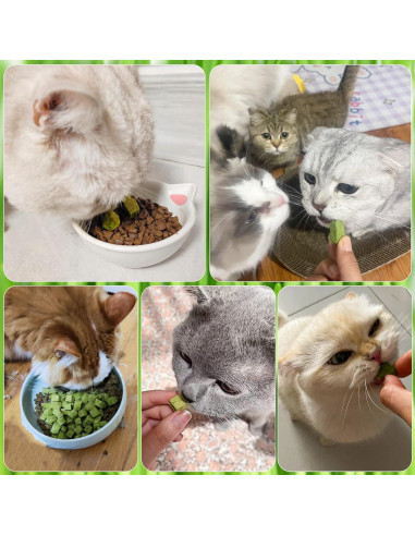 Golosinas de Hierba para Gatos HavenJanny 60g - Salud Oral