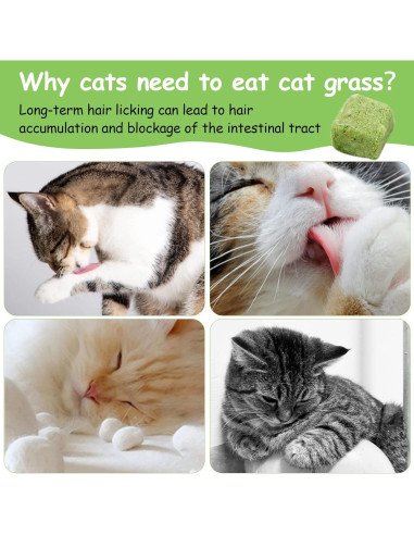 Golosinas de Hierba para Gatos HavenJanny 60g - Salud Oral