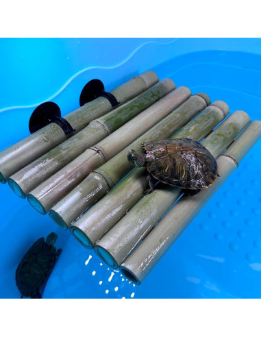 Plataforma de Basking para Tortugas ZENVINO 28x18 cm Hecha a Mano