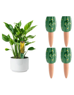 Juego de Picos de Riego de Terracota Flygragon - 6 Unidades