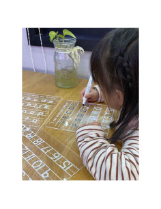 Set de 3 Tableros Acrílicos Borrado en Seco LuckyShe