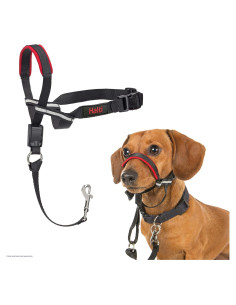 Collar de Cabeza HALTI OptiFit para Perros Pequeños - Ajustable y Reflectante