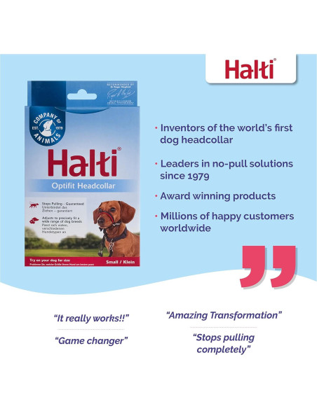 Collar de Cabeza HALTI OptiFit para Perros Pequeños - Ajustable y Reflectante