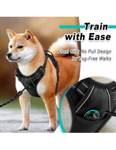 Arnés para Perros BARKBAY Sin Tirones Ajustable Negro S 2