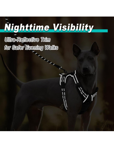 Arnés para Perros BARKBAY Sin Tirones Ajustable Negro S