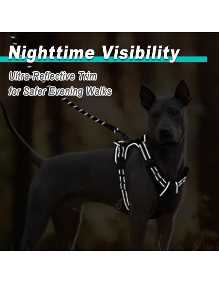 Arnés para Perros BARKBAY Sin Tirones Ajustable Negro S