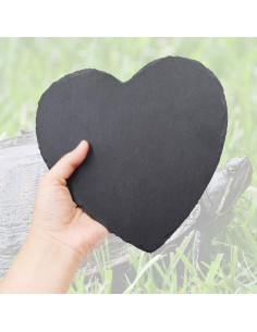 Plataforma de Sol para Reptiles Oooct 20.3 x 20.3 cm Natural 2