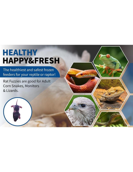 Ratas Congeladas Fuzzies MiceDirect 15 Unidades 5-6.35 cm