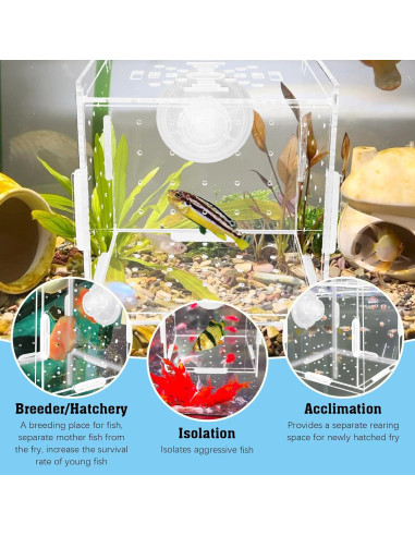 Caja de Aislamiento de Cría de Acrílico Hamiledyi 9.9x9.9 cm