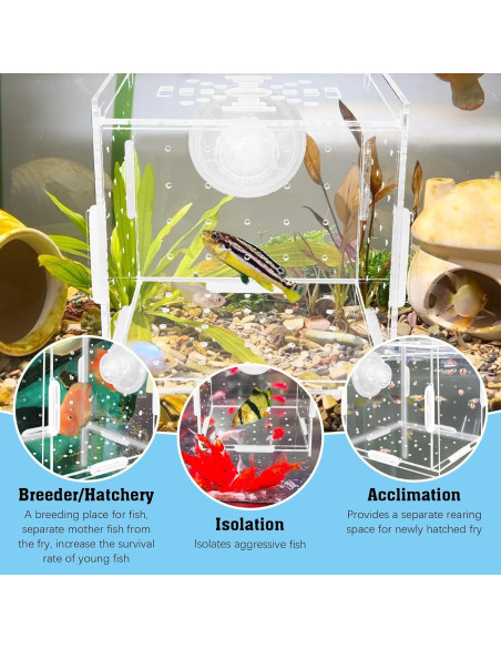 Caja de Aislamiento de Cría de Acrílico Hamiledyi 9.9x9.9 cm