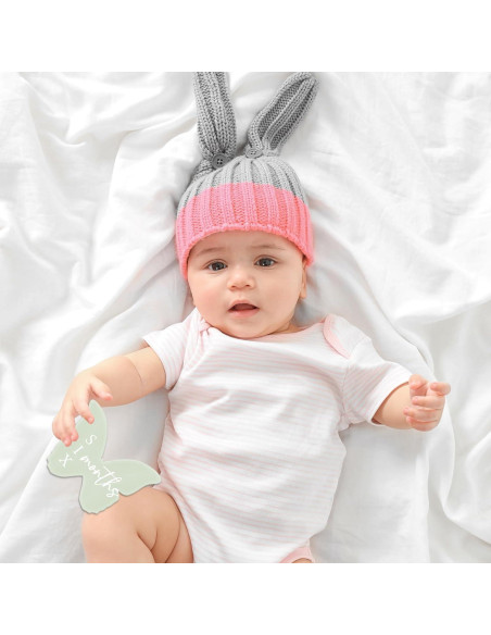 Marcadores de Hito Mensual para Bebé Mariposa Pastel 12 Pcs