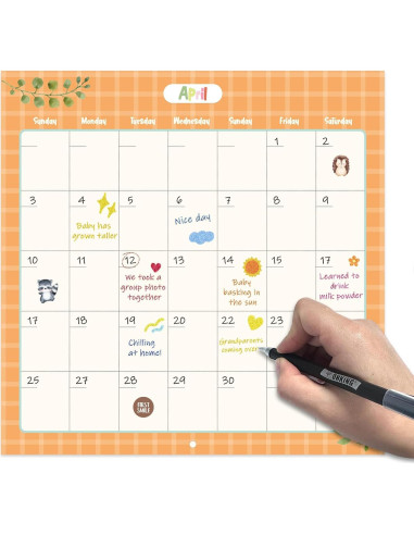 Calendario del Primer Año del Bebé Monking con Stickers