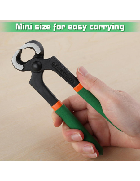 Kit de Reparación de Tacones Altos LEONTOOL con Alicates y 24 Puntas