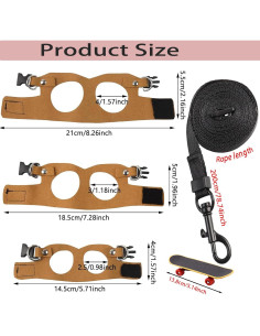 Juego de Arnés y Correa Ajustable para Dragón Barbudo - 3 Tamaños 2