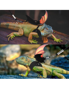 Arnés y Correa Ajustable Pawaboo para Dragón Barbudo - 3 Tamaños 2