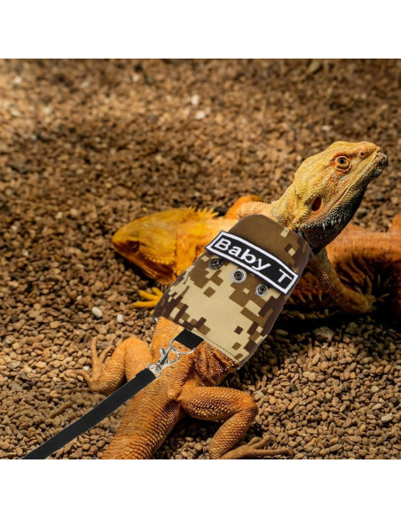 Conjunto Arnés y Correa Hypeety para Dragón Barbudo 1.64m