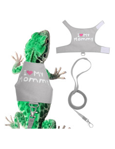 Conjunto Arnés y Correa Ajustable para Dragón Barbudo - Skrfren