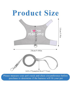 Conjunto Arnés y Correa Ajustable para Dragón Barbudo - Skrfren 2