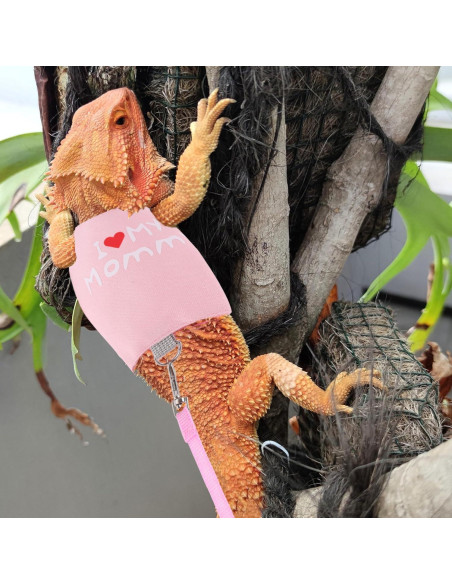 Arnés Ajustable para Dragón Barbudo WEVONIGU con Correa Rosa