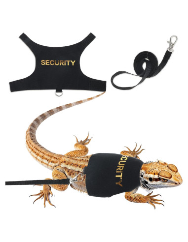 Conjunto Arnés y Correa Ajustable Quilax para Dragón Barbudo