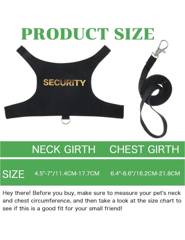 Conjunto Arnés y Correa Ajustable Quilax para Dragón Barbudo