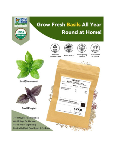 Kit de Vaso Hidropónico LYKOCLEAN 8 Vasos con Albahaca