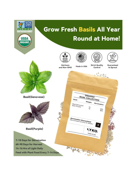 Kit de Vaso Hidropónico LYKOCLEAN 8 Vasos con Albahaca