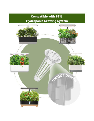 Kit de Vaso Hidropónico LYKOCLEAN 8 Vasos con Albahaca