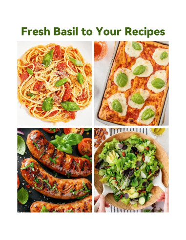 Kit de Vaso Hidropónico LYKOCLEAN 8 Vasos con Albahaca