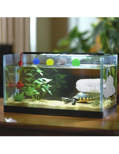 Accesorios para Acuario de Tortuga JJMOLLE - Cepillo y 4 Pelotas 2