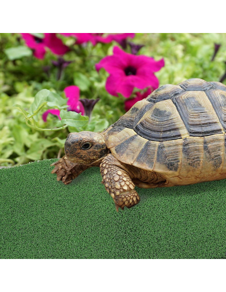 Césped Artificial Alipis para Tortugas 50x25cm Verde