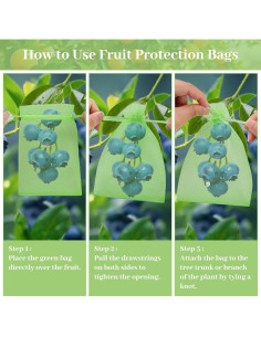 Bolsas de Protección de Frutas ZIFTY 100 Pcs 10x15 cm Verde 2