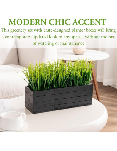 Juego de 3 Plantas de Césped Artificial MyGift en Cajas de Madera